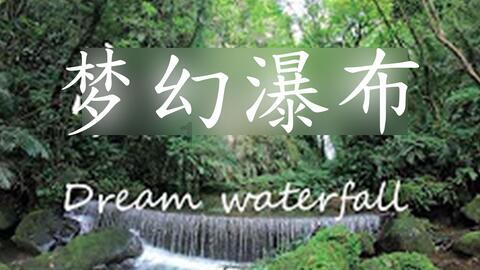 植物大战僵尸5